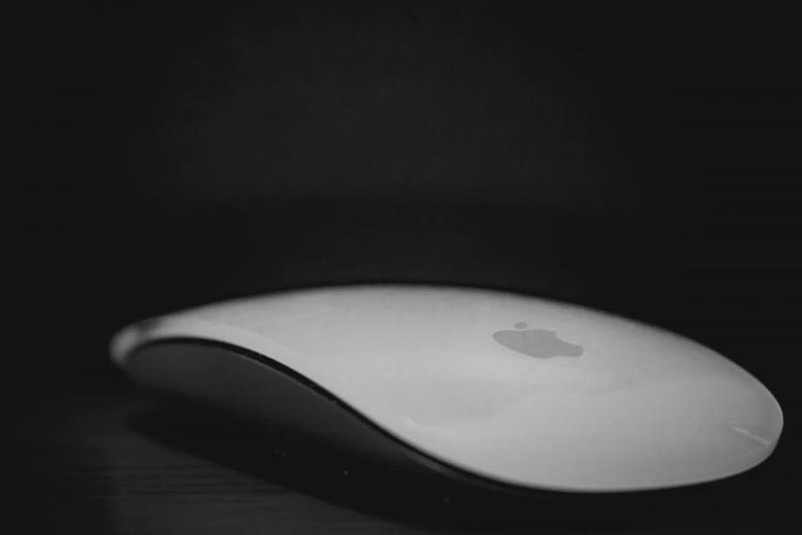 Mice