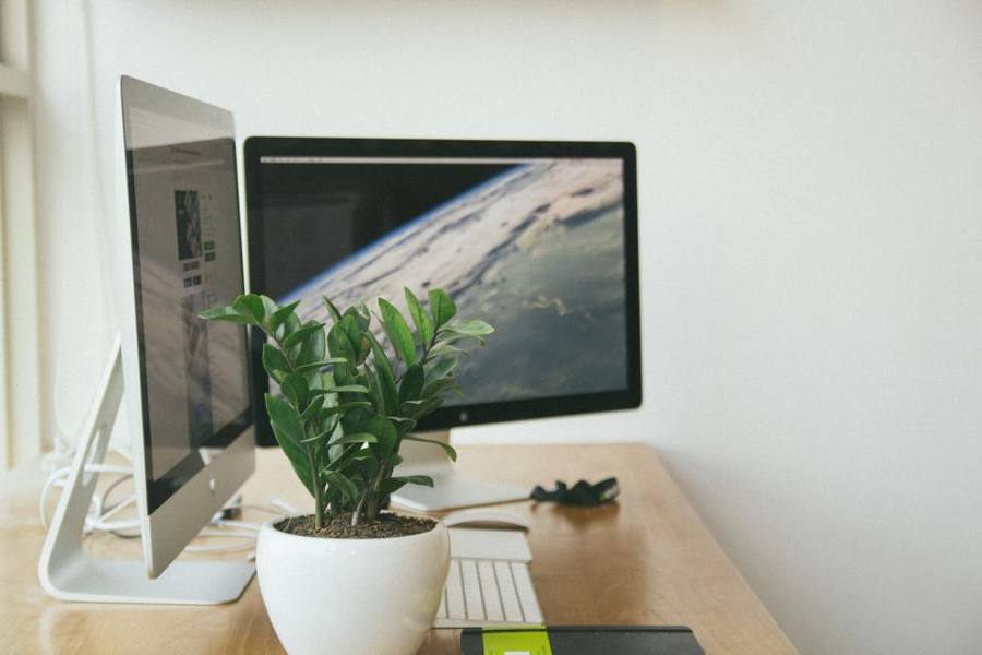 Gaming Monitors